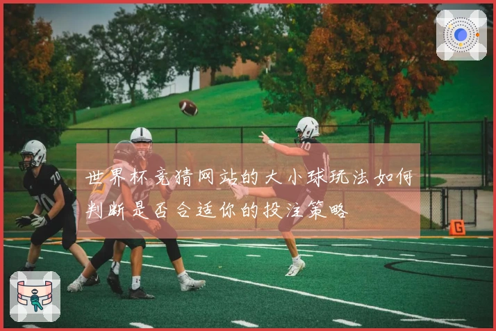 世界杯竞猜网站的大小球玩法如何判断是否合适你的投注策略