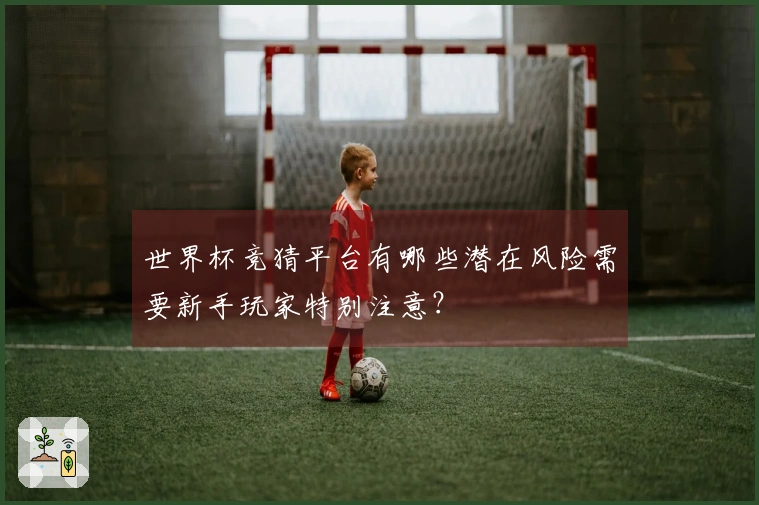 世界杯竞猜平台有哪些潜在风险需要新手玩家特别注意？
