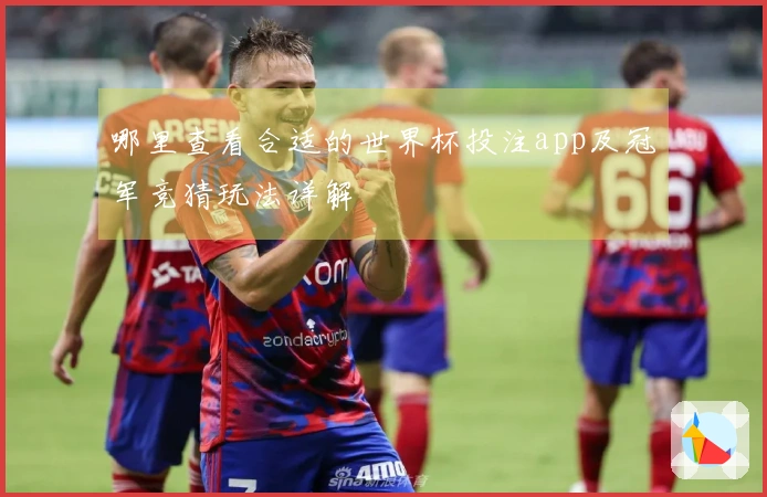 哪里查看合适的世界杯投注app及冠军竞猜玩法详解