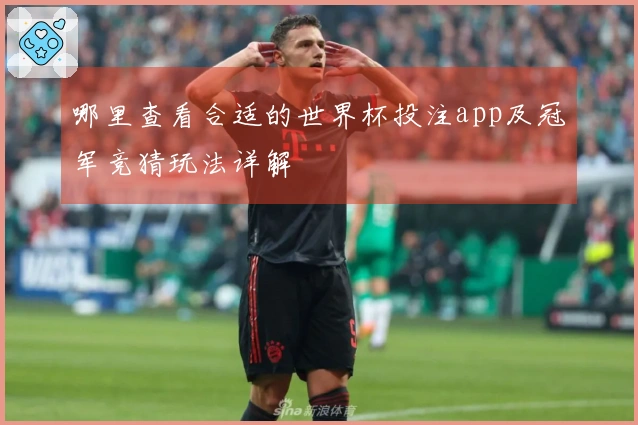 哪里查看合适的世界杯投注app及冠军竞猜玩法详解