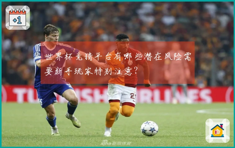 世界杯竞猜平台有哪些潜在风险需要新手玩家特别注意？