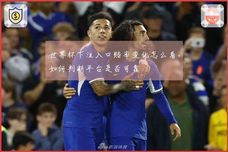 世界杯下注入口赔率变化怎么看，如何判断平台是否可靠