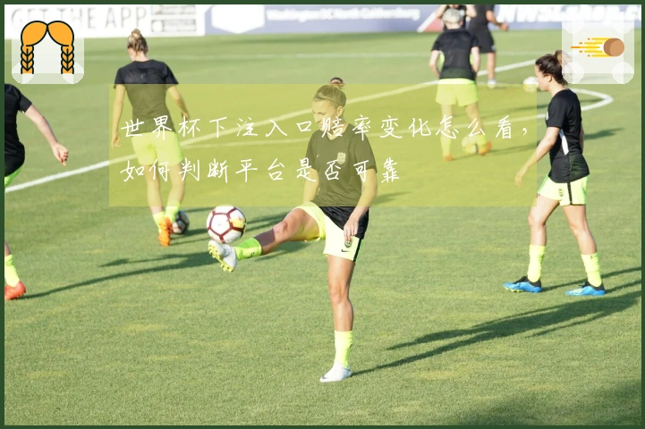 世界杯下注入口赔率变化怎么看，如何判断平台是否可靠